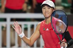 比利时队获得关键胜利，迈向冠军之路的简单介绍