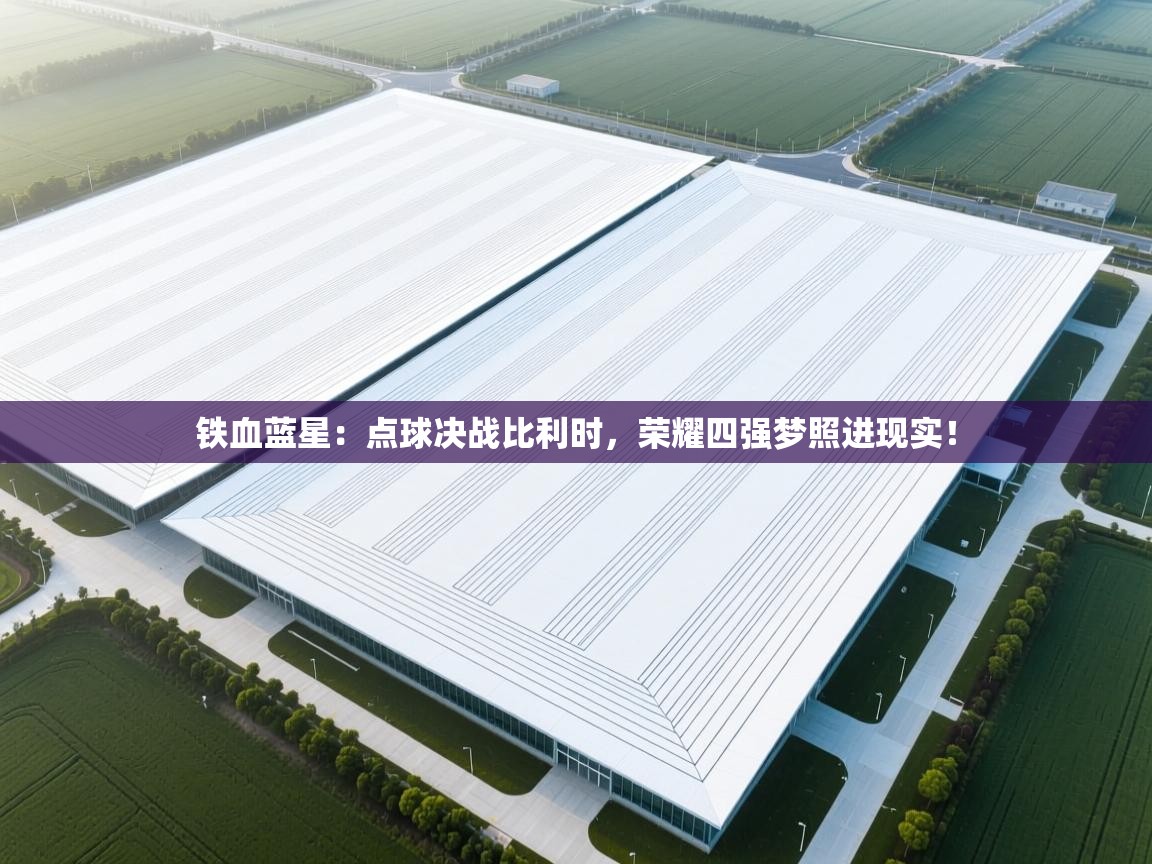 铁血蓝星：点球决战比利时，荣耀四强梦照进现实！