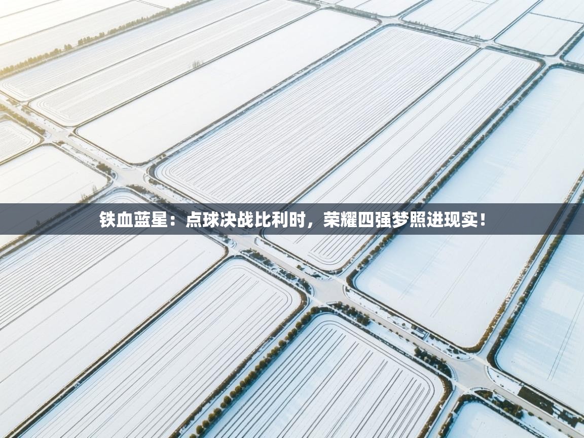 铁血蓝星：点球决战比利时，荣耀四强梦照进现实！  第2张